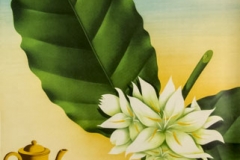 KF-affisch: aromfriskt cirkelkaffe
