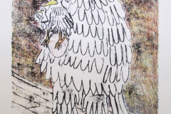 Hans Kellerman: Joker