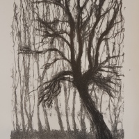 Urban Palm, litografi 2015