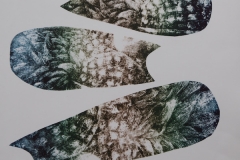 Berta Guerra Aredal, Bottles