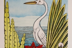 Amalia Årfelt, Midvinter i Söderhavet