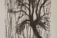 Urban Palm, litografi 2015