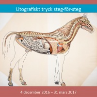 2016-2017: Hästen – litografiskt tryck steg-för-steg