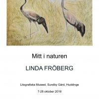 Mitt i naturen