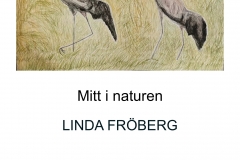 Mitt i naturen